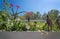 White roughcast wall with green subtropical plants