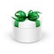 White Round Gift Box with Green Ribbon and Bow