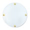 White round painted plate with gold screws isolated. Vector