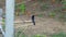 White-rumped shama bird perched on dry bamboo