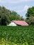 White Rustic Michigan barn