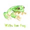 White`s tree frog, The Australian  green or dumpy tree frog Ranoidea caerulea, isolated on white hand painted watercolor