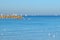 White sail sailboats float in a blue sea. Seagulls seat on the calm water surface. Tel Aviv Mediterranean seascape