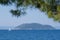 A white sailboat sail on the sea. Photo-captured through the branches of the pine