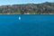 White sails of yacht stand out against turquoise water on Queen Charlotte Sound with bush-clad hill backdrop South Island New