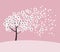 White sakura tree blossom on pink rosy background.
