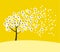 White sakura tree blossom on sunny yellow background.