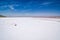 White salt beach on pink Maharloo Lake in Shiraz, Iran