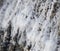 White salt formation near a salted spring in Parajd, Romania