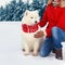 White Samoyed dog in winter christmas day with woman owner wearing a red scarf sitting on snow over snowy trees forest