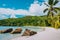 White sand beach, coconut palms and blue lagoon of tropical island, Anse Takamaka beach, Seychelles