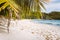 White sand beach with coconut palms on tropical island, Anse Takamaka beach, Seychelles