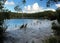 White Sand Beach At Crystal Clear Rain Water Lake McKenzie On Fraser Island Queensland Australia