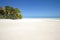 White sand beach and palm tree on blue lagoon