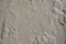 White sand beach texture. Sea coast top view photo. Sea sand with step mark texture. Smooth sand surface with foot marks