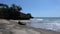 White sand beach. trees on a tropical beach. seaside black sandstone. clear blue sea. Beach scenery.