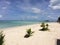 White sand calm clear water of the Philippine sea and palm trees