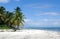 White sand and clear sky with palm trees on tropical beach on Saona Island, Dominican Republic