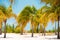 White sand and palm trees on the beach Playa Sirena, Cayo Largo, Cuba.