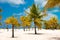 White sand and palm trees on the beach Playa Sirena, Cayo Largo, Cuba.