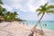 White sand and palm trees on the beach Playa Sirena, Cayo Largo, Cuba. Copy space for text.