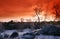 White sand and rocky chaos in fontainebleau forest