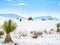 White Sand, Yucca and Mountains at White Sands National Park