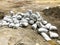 White sandbags are lying on the ground at the construction site