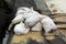 White sandbags on top of large diameter fire hose used to pump flood water away from family houses over temporary flood protection