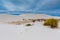 The White Sands Desert Dunes of White Sands Monument National Park