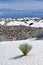 White Sands dunes n New Mexico