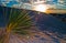 White Sands Dunes New Mexico Sunset Solar Flare Cactus