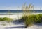 White Sands Florida Beach with Golden Sea Oats and Florida Beach