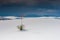 White Sands southern New Mexico