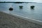 White sandy beach with bushes emerging from the sea