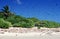 White sandy beach driftwood and birds