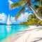 White sandy beach filled with palm trees and a beautiful white sail boat during the day