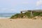 A white sandy beach with green grass in Darlowko, Poland