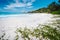 White sandy beach and turquoise ocean at Anse Cocos Peaceful wallpaper of tropical Seychelles beach, La Digue