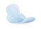 White Sanitary Towel or Pad with Wings Isolated