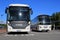 White Scania Touring and VDL Futura Coach Buses