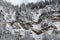 White scene of winter beauty snow forest inside, trees on a rock slope, panorama of wild nature wintery background