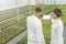 White screen Tablet greenhouse. Agricultural Engineers using tab