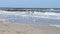 White sea gulls on the sandy beach of the sea shore on a sunny day.