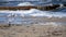 White sea gulls on the sandy beach of the sea shore on a sunny day.