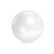 White sea pearl on white background. Precious decoration. Vector