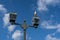 White seagull bird chirping on light pole