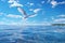 A white seagull flies over the water against a bright blue sky with white clouds