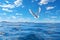 A white seagull flies over the water against a bright blue sky with white clouds