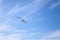 White seagull flying away on blue sky background